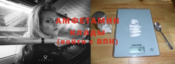прущие грибы Дмитриев