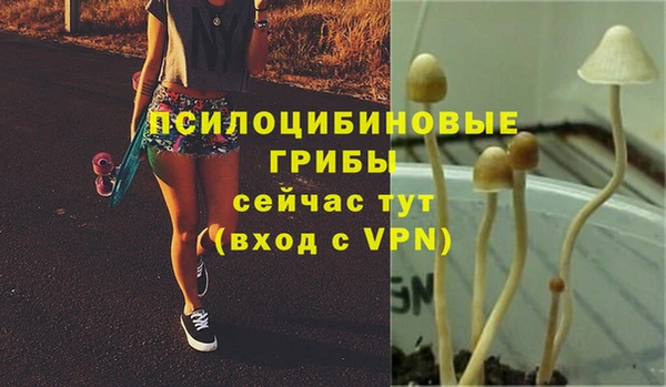 соль курить ск Кукмор