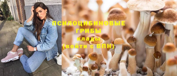 дживик Ельня