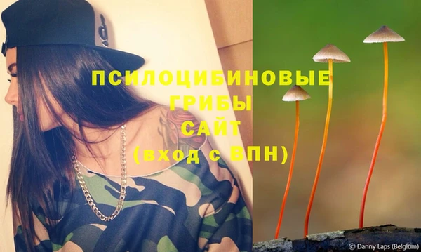 соль курить ск Кукмор