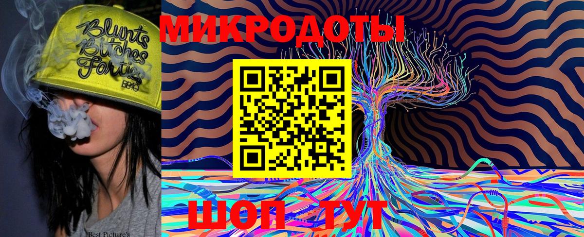 Псилоцибиновые грибы Cubensis Алейск