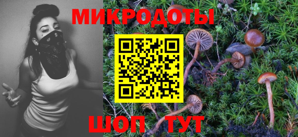 Алейск  Псилоцибиновые грибы Psilocybine cubensis  Галлюциногенные грибы Magic Shrooms  Вход с VPN 