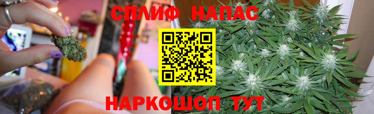 Конопля конопля Алейск